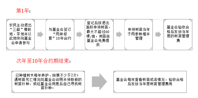 “雨林修复”项目(图1)