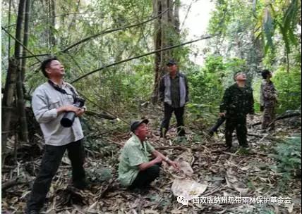 勐宋“鸟事”大不同(图6)