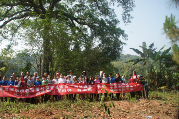 基诺山“雨林修复”项目种下第一批树(图2)