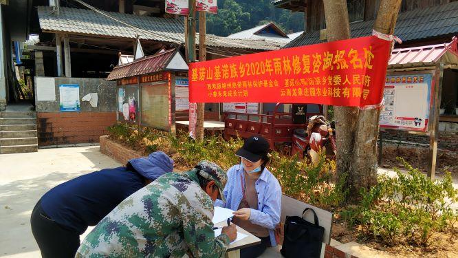 “热带雨林修复行动”项目进展(图4)