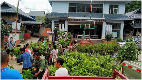 基金会“雨林修复”项目2020年（三期）进展(图1)