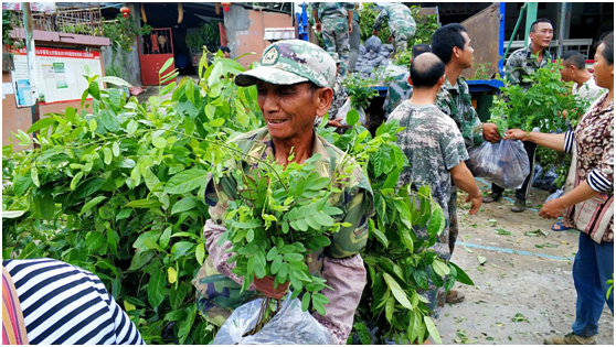 基金会“雨林修复”项目2020年（三期）进展(图2)