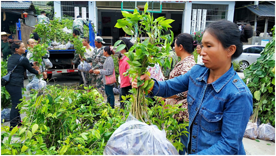 基金会“雨林修复”项目2020年（三期）进展(图3)