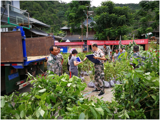 基金会“雨林修复”项目2020年（三期）进展(图8)
