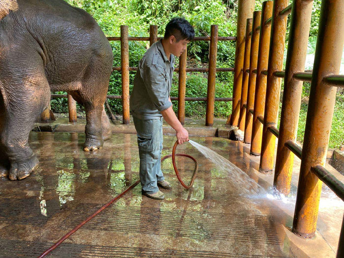 “野象不饿”项目进展(图5)