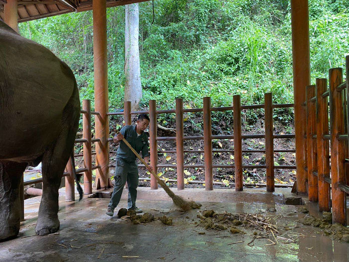 “野象不饿”项目进展(图4)