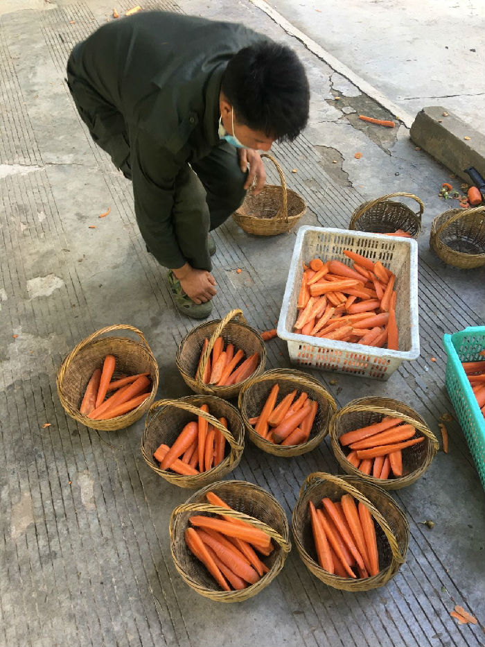 “野象不饿”项目进展(图6)
