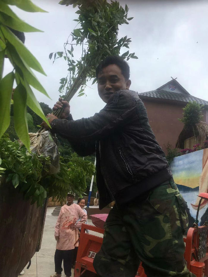 热带雨林修复行动（第四期） 项目进展(图2)