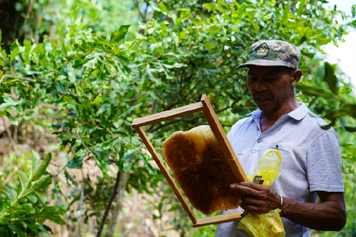南满河蜜蜂养殖生计发展项目第二期 项目进展(图3)