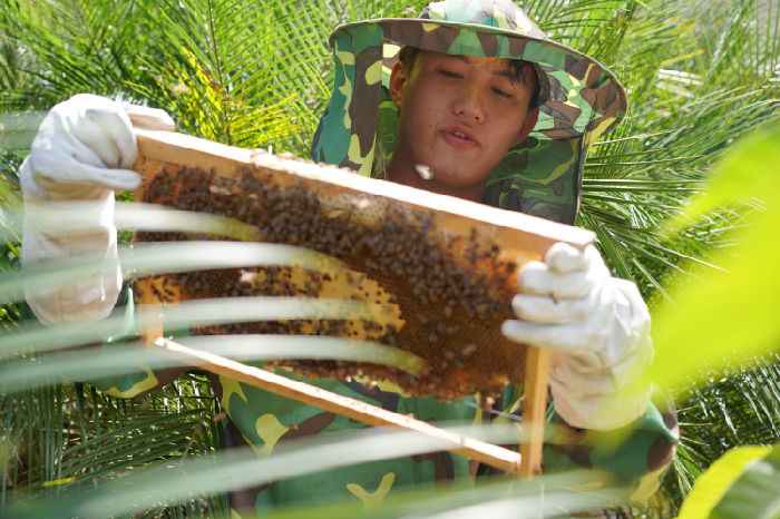 南满河蜜蜂养殖生计发展项目第二期 项目进展(图5)