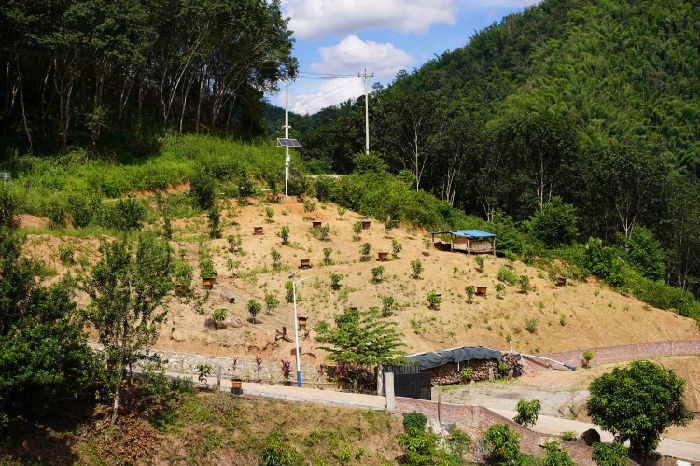 南满河蜜蜂养殖生计发展项目第二期 项目进展(图6)