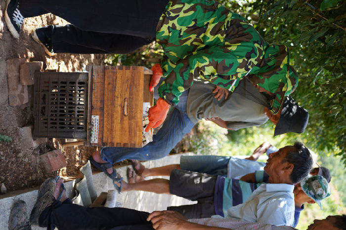 南满河蜜蜂养殖生计发展项目第二期 项目进展(图8)