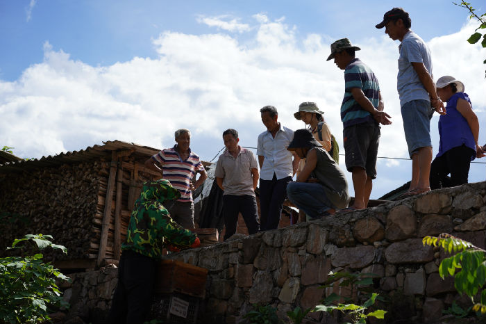 南满河蜜蜂养殖生计发展项目第二期 项目进展(图7)