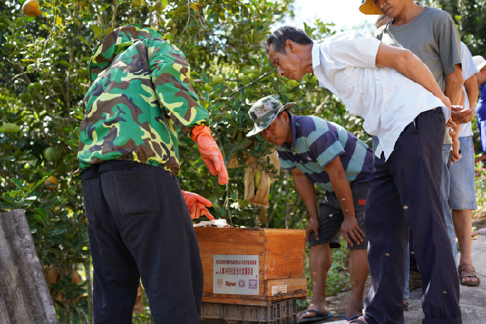 南满河蜜蜂养殖生计发展项目第二期 项目进展(图10)