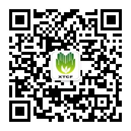 种树也能挣钱！热带雨林保护基金会呼唤村民参与(图6)
