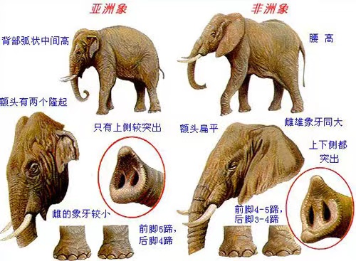 8.16 分布科普图.jpg