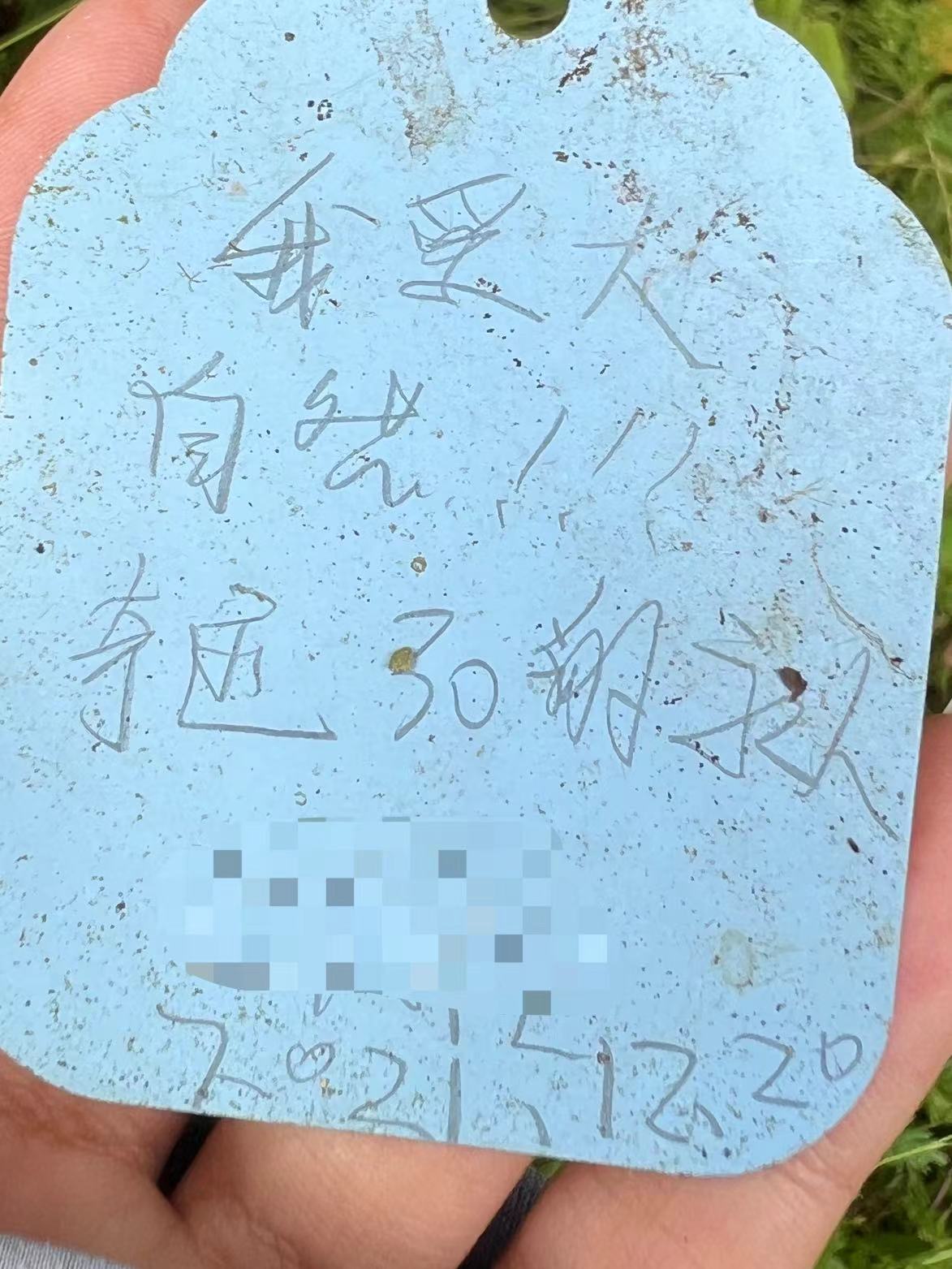 1724636951782195.jpg