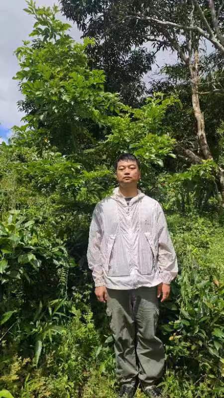 8.23树苗对比1.jpg